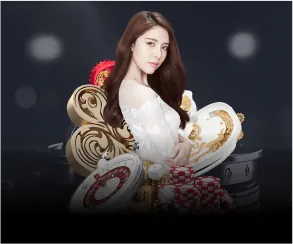 Giao diện hướng dẫn đặt cược đá gà trên t4wbet app